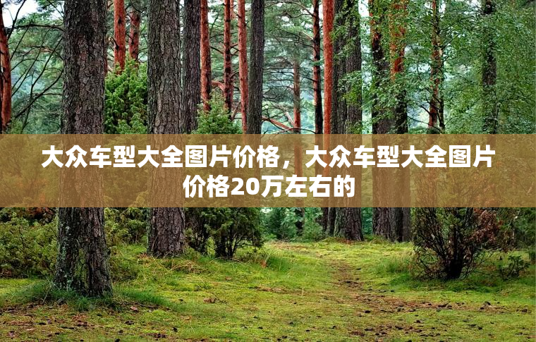 大众车型大全图片价格，大众车型大全图片价格20万左右的