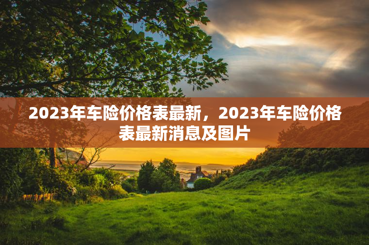 2023年车险价格表最新，2023年车险价格表最新消息及图片