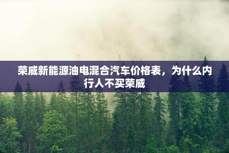 荣威新能源油电混合汽车价格表，为什么内行人不买荣威