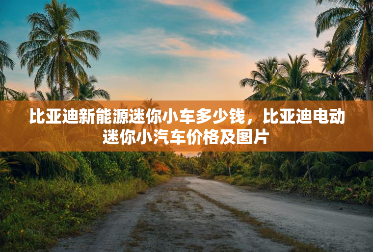 比亚迪新能源迷你小车多少钱，比亚迪电动迷你小汽车价格及图片