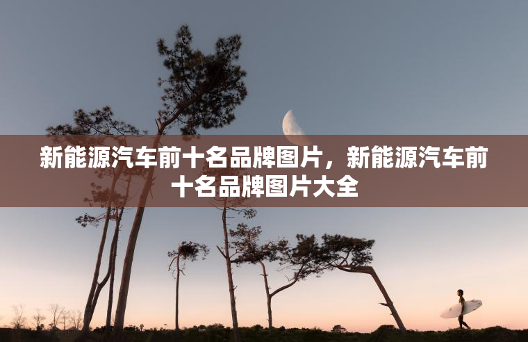 新能源汽车前十名品牌图片，新能源汽车前十名品牌图片大全