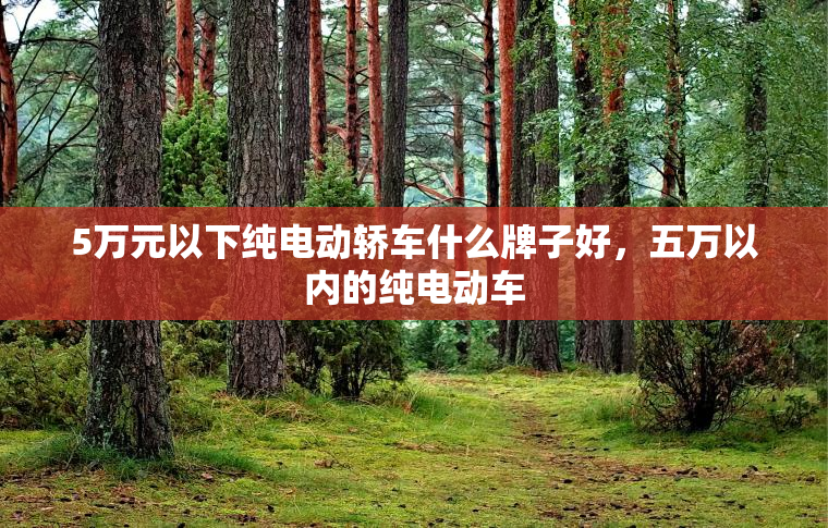 5万元以下纯电动轿车什么牌子好，五万以内的纯电动车