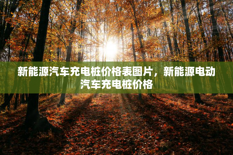 新能源汽车充电桩价格表图片，新能源电动汽车充电桩价格