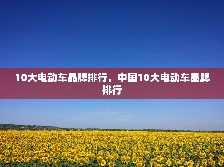 10大电动车品牌排行，中国10大电动车品牌排行