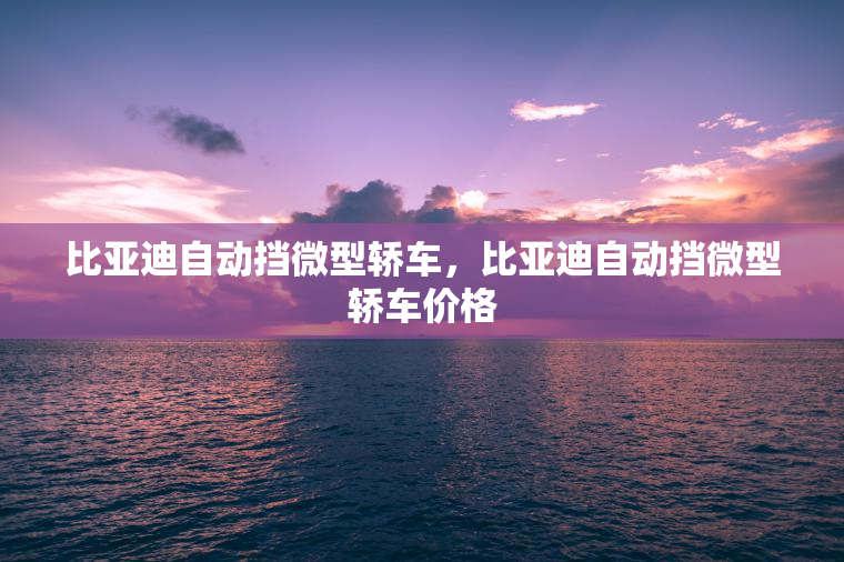 比亚迪自动挡微型轿车，比亚迪自动挡微型轿车价格