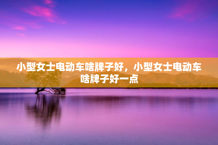 小型女士电动车啥牌子好，小型女士电动车啥牌子好一点