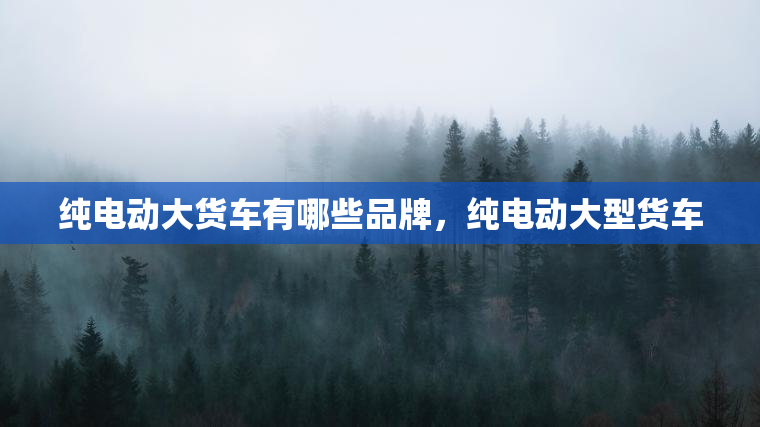 纯电动大货车有哪些品牌,纯电动大型货车 纯电动大货车有哪些品牌,纯电动大型货车