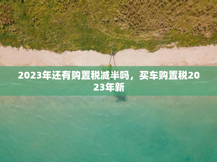 2023年还有购置税减半吗，买车购置税2023年新