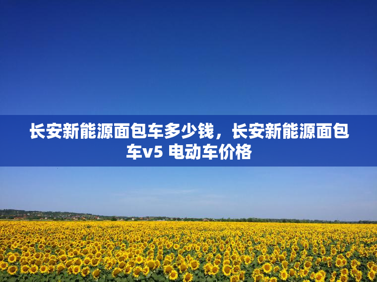长安新能源面包车多少钱，长安新能源面包车v5 电动车价格