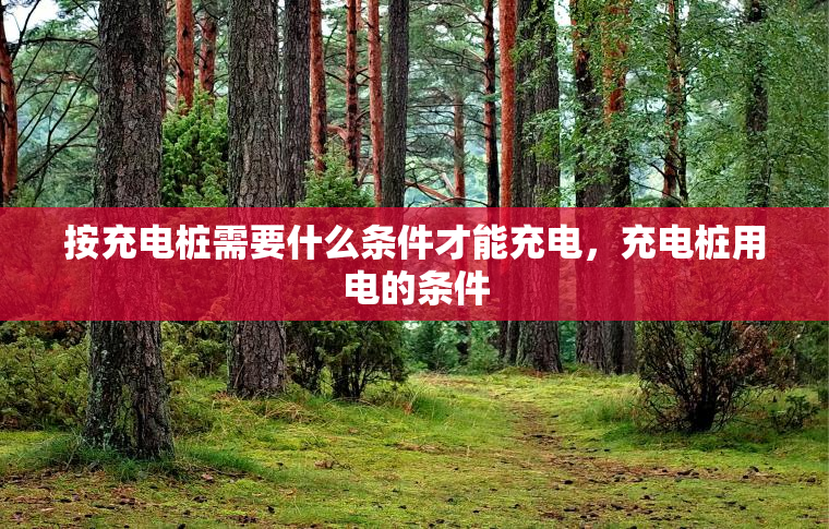 按充电桩需要什么条件才能充电，充电桩用电的条件