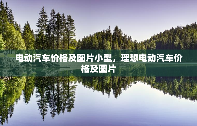 电动汽车价格及图片小型，理想电动汽车价格及图片