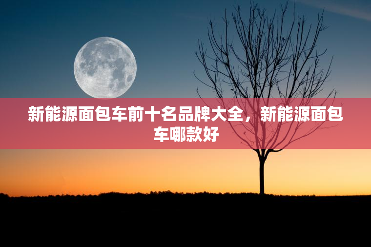 新能源面包车前十名品牌大全，新能源面包车哪款好