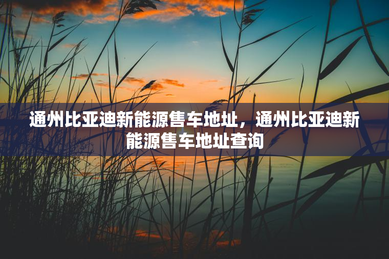 通州比亚迪新能源售车地址，通州比亚迪新能源售车地址查询