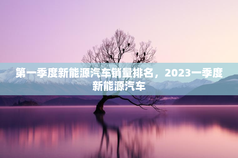 第一季度新能源汽车销量排名，2023一季度新能源汽车