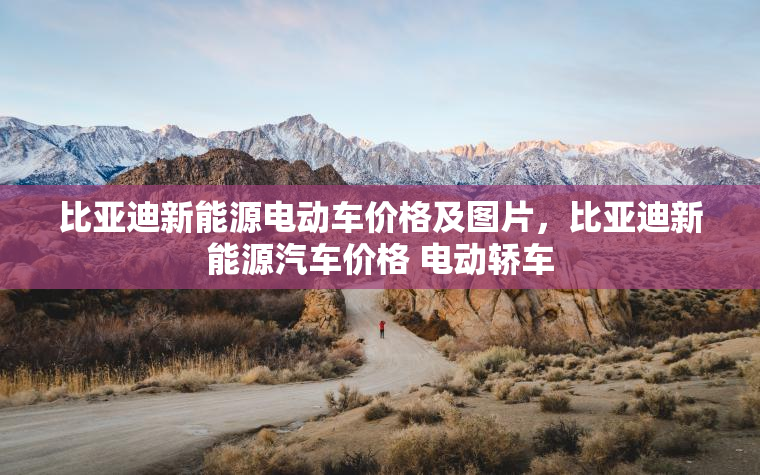 比亚迪新能源电动车价格及图片，比亚迪新能源汽车价格 电动轿车