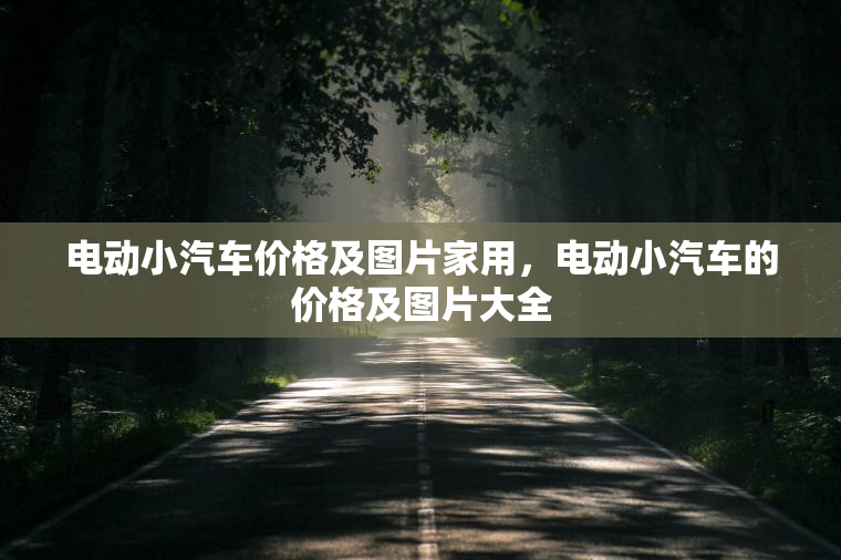 电动小汽车价格及图片家用，电动小汽车的价格及图片大全