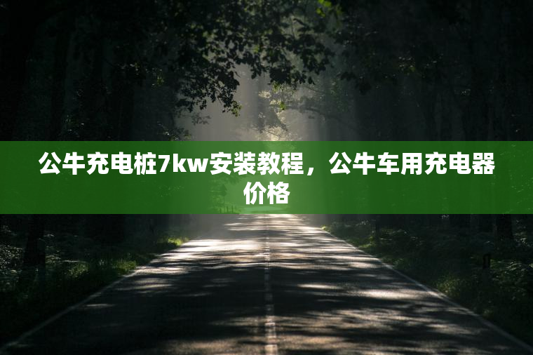 公牛充电桩7kw安装教程，公牛车用充电器价格