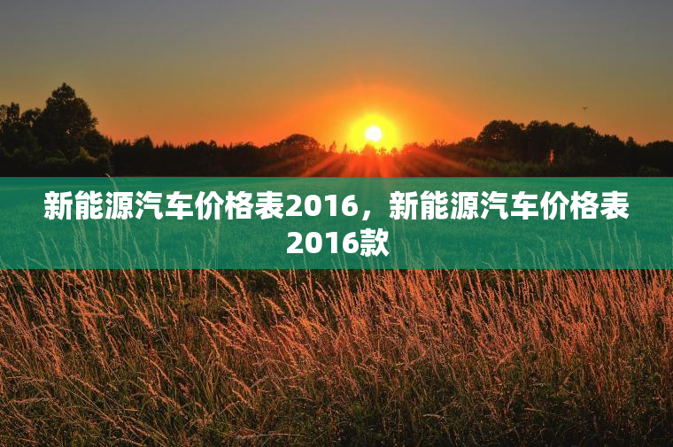 新能源汽车价格表2016，新能源汽车价格表2016款