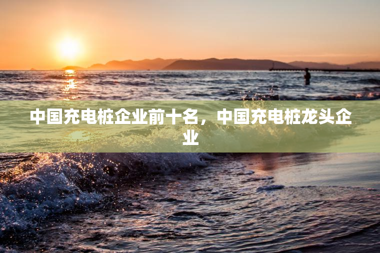 中国充电桩企业前十名，中国充电桩龙头企业