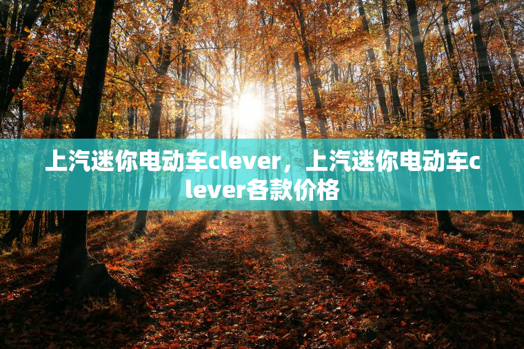上汽迷你电动车clever，上汽迷你电动车clever各款价格