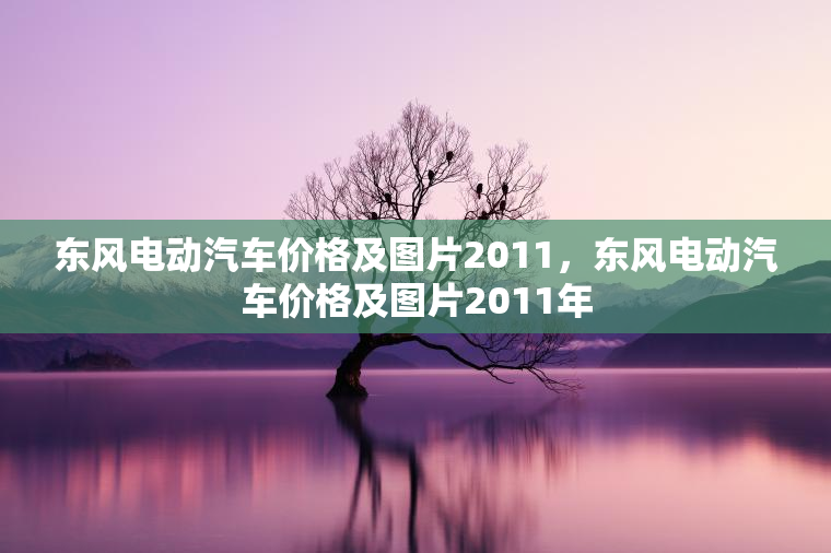 东风电动汽车价格及图片2011，东风电动汽车价格及图片2011年