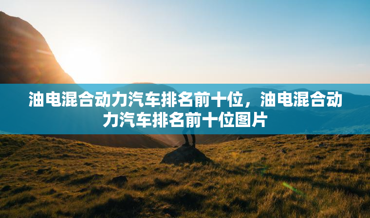 油电混合动力汽车排名前十位，油电混合动力汽车排名前十位图片
