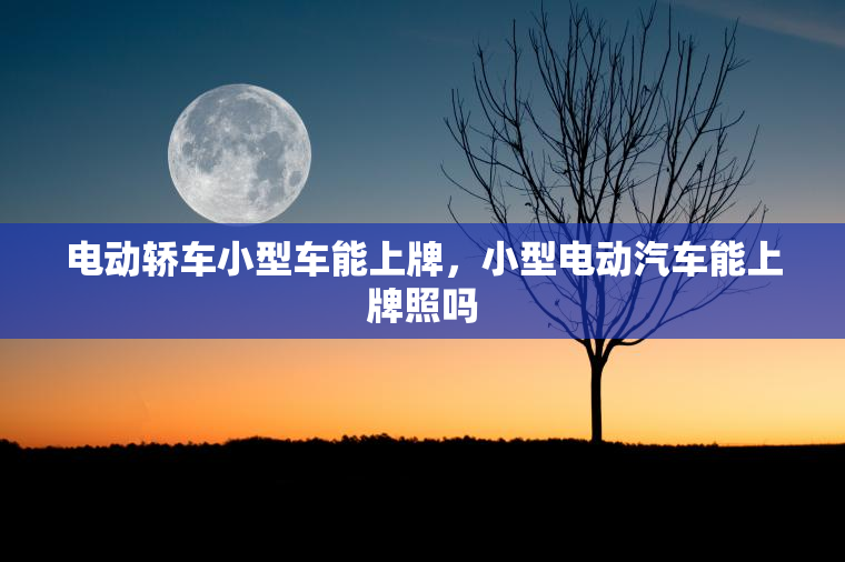电动轿车小型车能上牌，小型电动汽车能上牌照吗