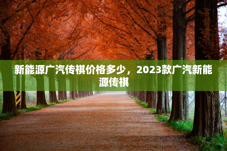 新能源广汽传祺价格多少，2023款广汽新能源传祺