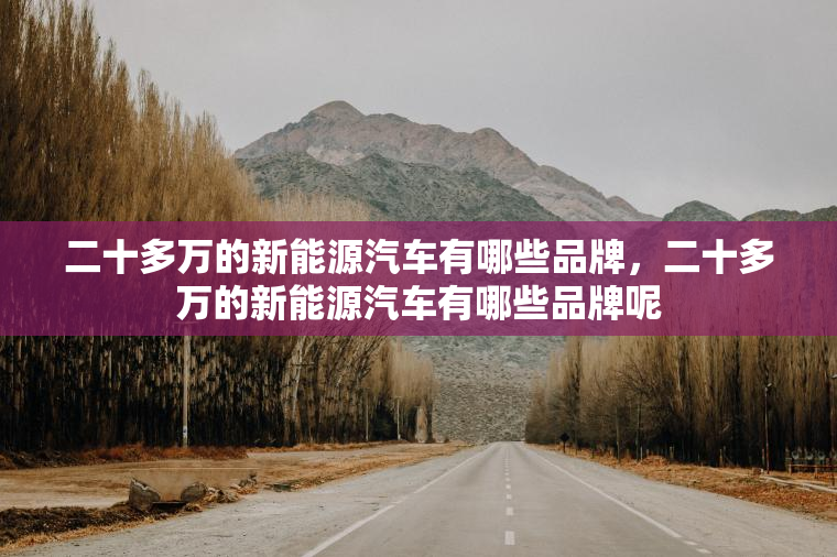 二十多万的新能源汽车有哪些品牌，二十多万的新能源汽车有哪些品牌呢