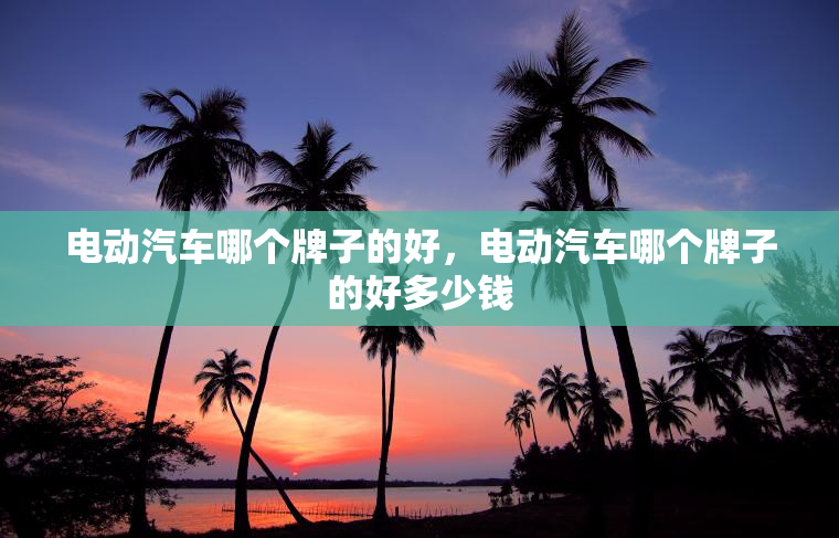 电动汽车哪个牌子的好，电动汽车哪个牌子的好多少钱