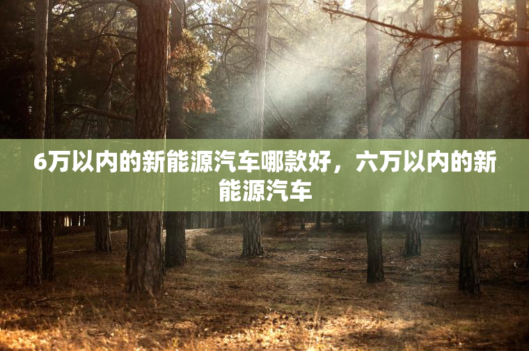 6万以内的新能源汽车哪款好，六万以内的新能源汽车