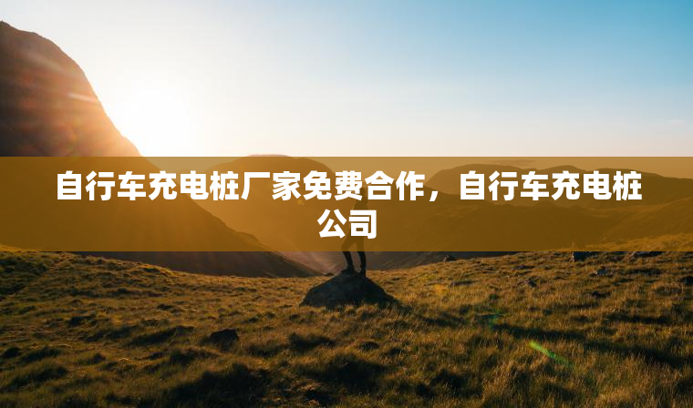 自行车充电桩厂家免费合作，自行车充电桩公司
