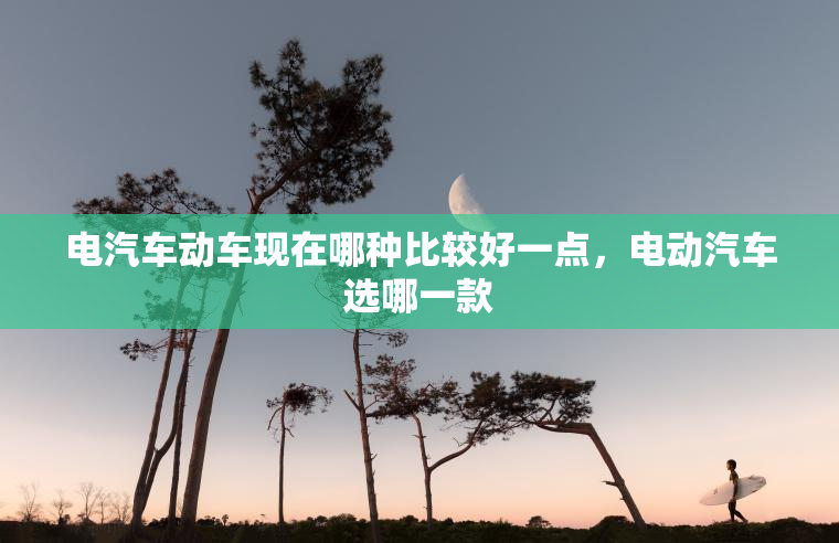 电汽车动车现在哪种比较好一点，电动汽车选哪一款