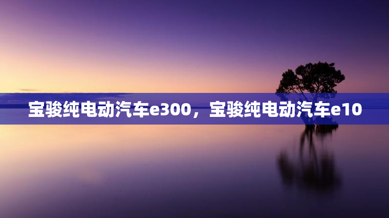 宝骏纯电动汽车e300，宝骏纯电动汽车e100