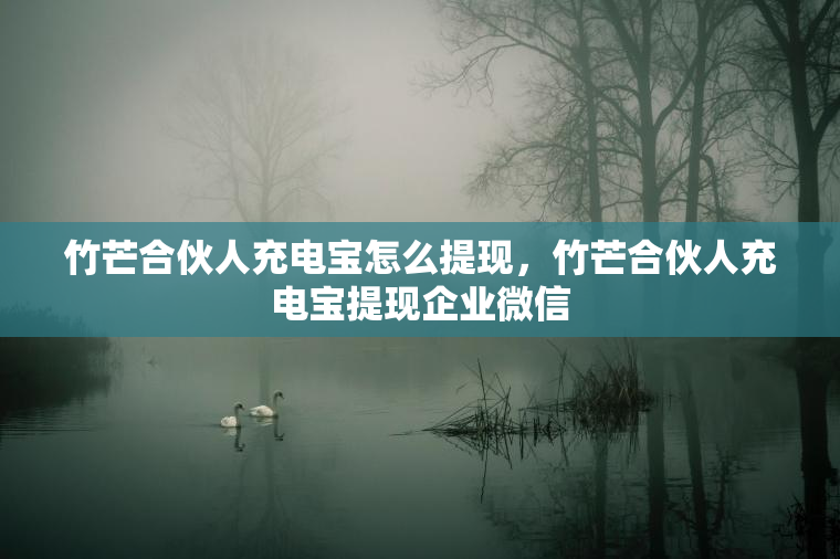 竹芒合伙人充电宝怎么提现，竹芒合伙人充电宝提现企业微信