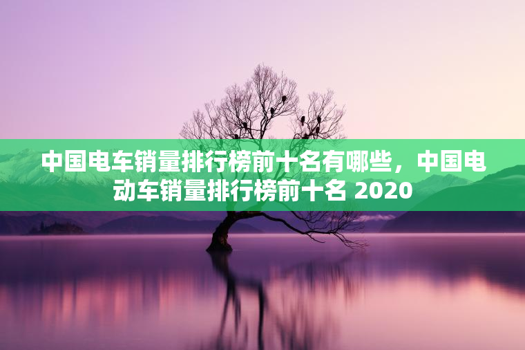 中国电车销量排行榜前十名有哪些，中国电动车销量排行榜前十名 2020
