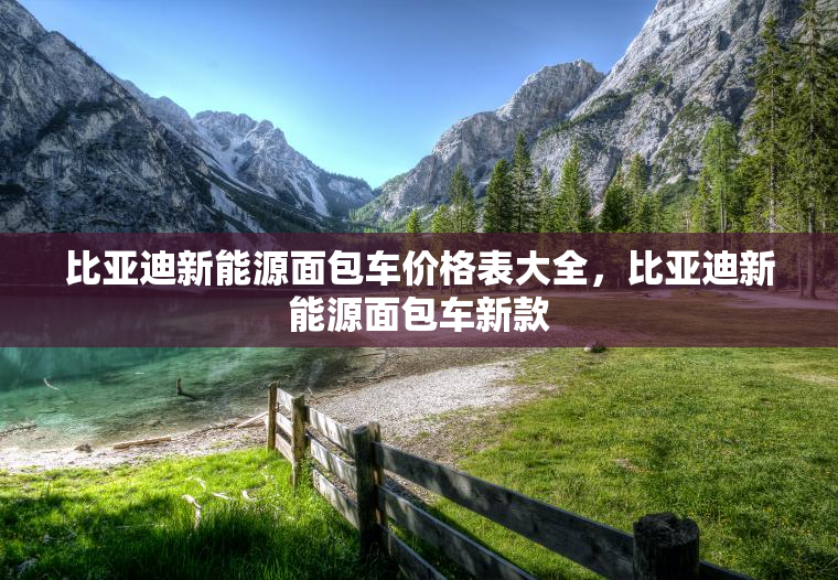 比亚迪新能源面包车价格表大全，比亚迪新能源面包车新款