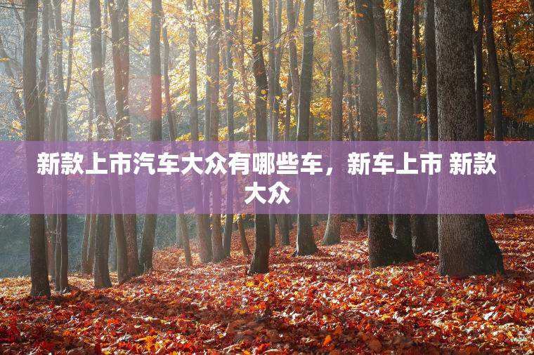 新款上市汽车大众有哪些车，新车上市 新款大众