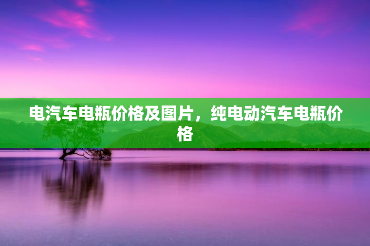 电汽车电瓶价格及图片，纯电动汽车电瓶价格