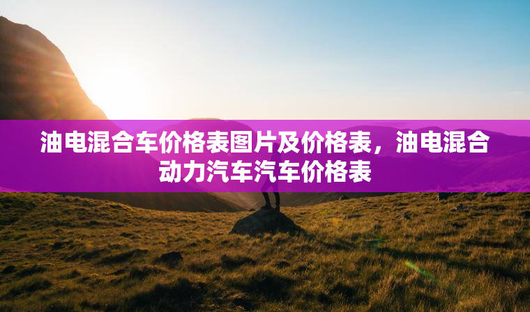 油电混合车价格表图片及价格表，油电混合动力汽车汽车价格表