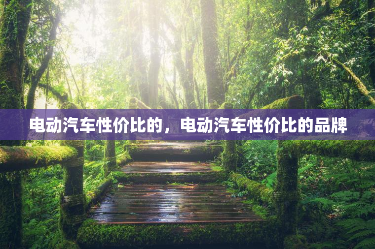 电动汽车性价比的，电动汽车性价比的品牌