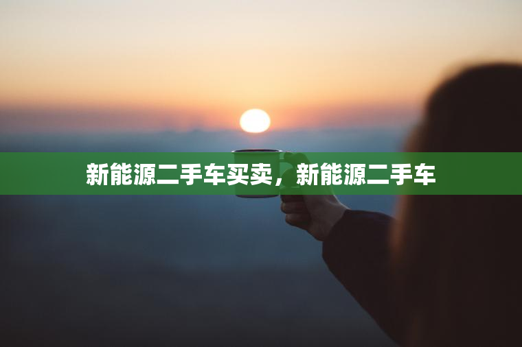 新能源二手车买卖，新能源二手车