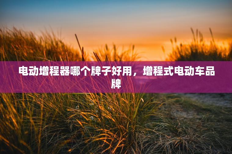 电动增程器哪个牌子好用，增程式电动车品牌