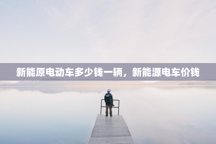 新能原电动车多少钱一辆，新能源电车价钱