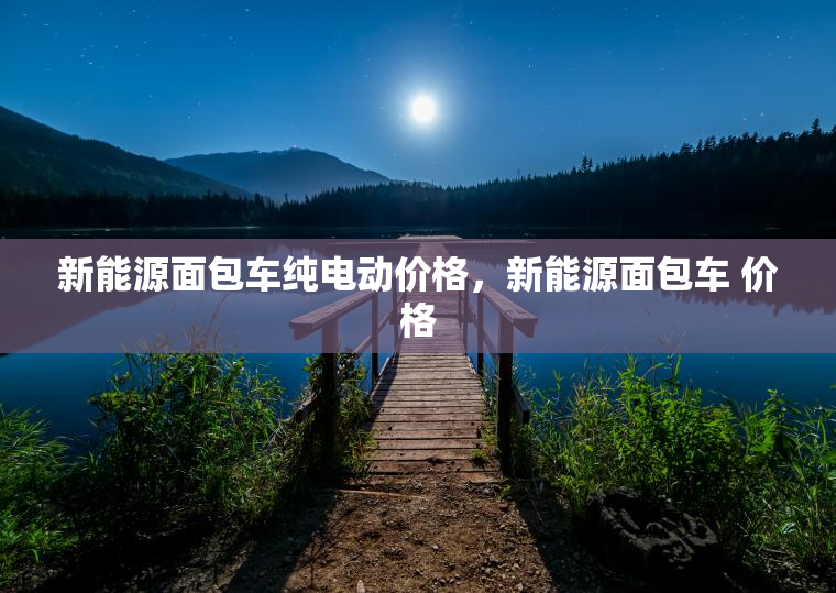 新能源面包车纯电动价格，新能源面包车 价格