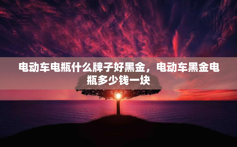 电动车电瓶什么牌子好黑金，电动车黑金电瓶多少钱一块
