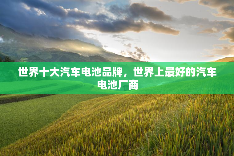 世界十大汽车电池品牌，世界上最好的汽车电池厂商