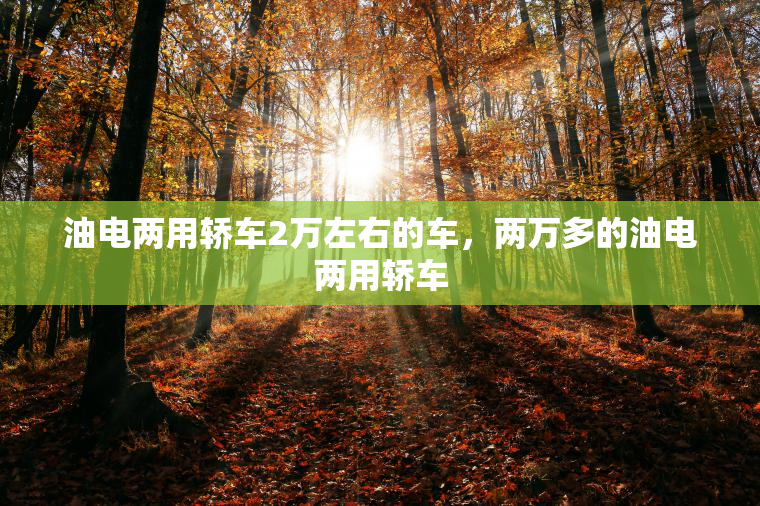 油电两用轿车2万左右的车，两万多的油电两用轿车