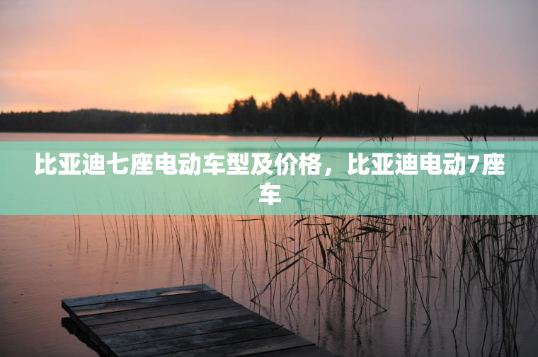 比亚迪七座电动车型及价格，比亚迪电动7座车