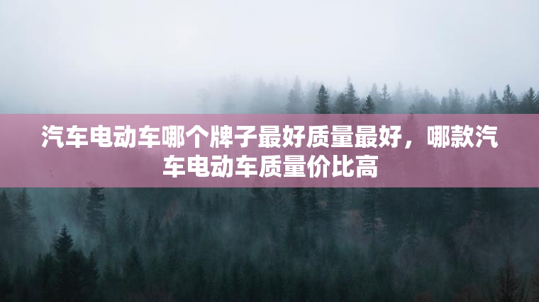 汽车电动车哪个牌子最好质量最好，哪款汽车电动车质量价比高